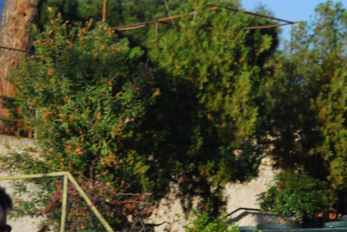 DSC_6578